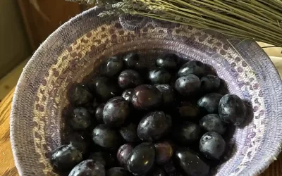 Black Olives Organic Large Sevillano for Sale (Raw, Fresh Olives, Unbrined, Unpasteurized, Regeneratively Grown)