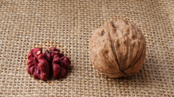 California Regenerative Red Walnut