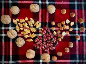 Dry roasted Mixed Nuts in Shell