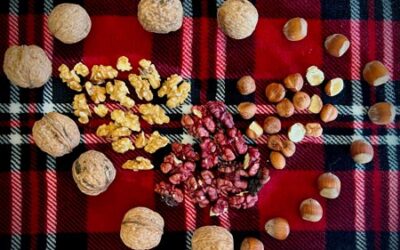 Organic Dry Roasted Mixed Nuts (Californian-Grown)