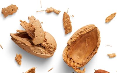 Organic Crushed Almond Shells Larger Pieces (Raw)