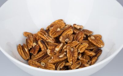 Sprouted Pecans in Salt Water (Raw, Transitional Organic)