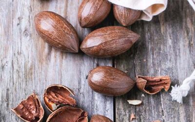Pecans Nuts in Shell Bulk (Raw, Organic, Unpasteurized)