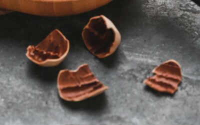 Organic Pecan Shells Larger Pieces (Raw)
