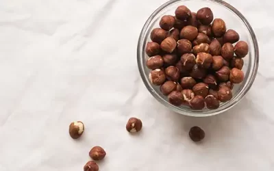 Sprouted Hazelnuts in Salt Water (Raw, Organic, Regeneratively Grown)