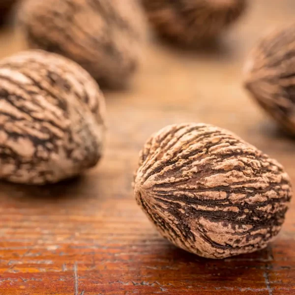 Black Walnuts in Green Hull or Skin (Wild) - Image 3