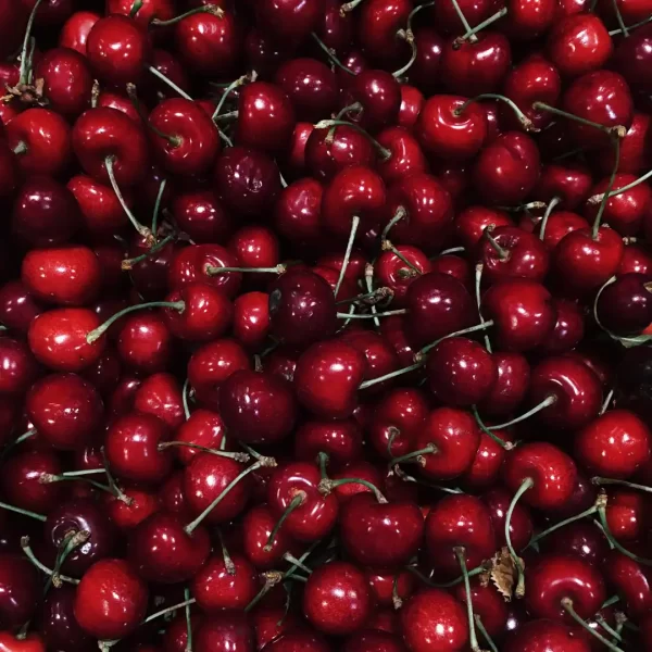 Fresh Organic Tart Cherries - Image 2