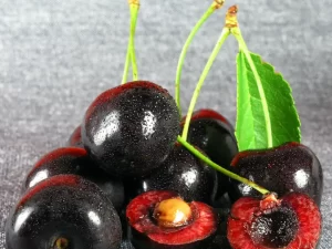 Fresh Tartarian Organic Black Sweet Cherry