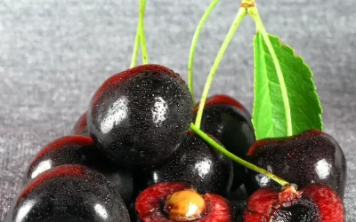 Fresh Tartarian Organic Black Sweet Cherry