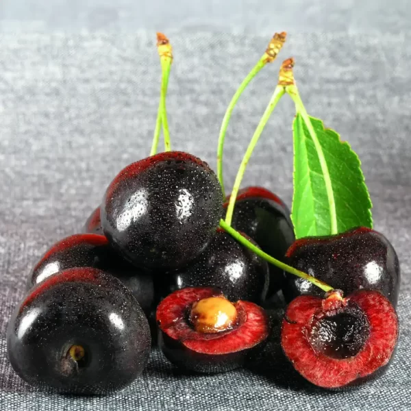 Fresh Tartarian Organic Black Sweet Cherry