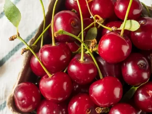 Fresh Organic Tart Cherries