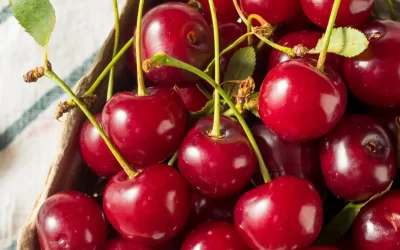 Fresh Organic Tart Cherries