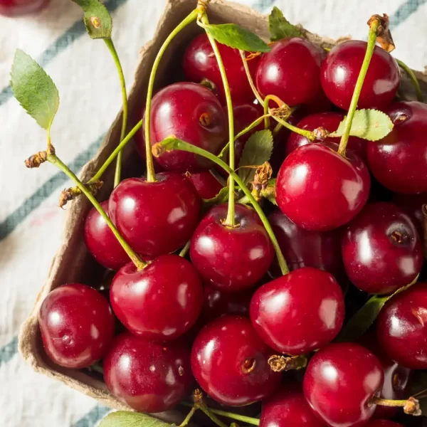 Fresh Organic Tart Cherries